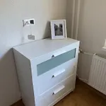 Voltérka Apartamento *